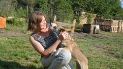 Оскольчанка Елена Алёхина рассказала о своей деятельность по спасению бездомных собак и щенков 