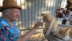 Спасённое из зоны боевых действий животное обрело дом в Старом Осколе