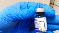 Как журналистка «Оскольского края» сделала прививку от коронавируса