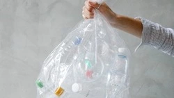  Регоператор будет проверять наличие договора на услуги «обращение с ТКО»