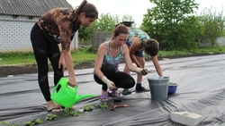 Одинокая мама из Старого Оскола получила от государства 100 тысяч рублей