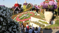 Оазис в пустыне. Корреспондент газеты «Оскольский край» посетила Парк цветов в Дубае