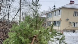 Центр экологической безопасности ответил на частые вопросы жителей о вывозе мусора