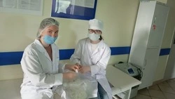 Ученики старооскольских медицинских классов прошли практику в поликлиниках и больницах округа