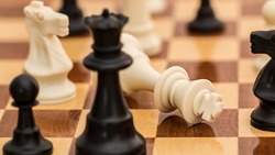 Чемпион мира по шахматам Анатолий Карпов приедет на открытый турнир в Белгород 