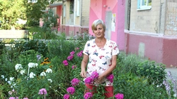 Жительница Старого Оскола сохранила клумбу возле своего подъезда