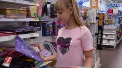 Старооскольские журналисты посчитали стоимость сбора первоклассника к новому учебному году