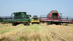 Вячеслав Гладков: белгородский агрокомплекс получил 4,6 млрд рублей федеральной поддержки в 2024-м