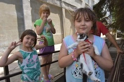 Жители приграничных территорий Белгородской области рассказали о жизни в старооскольских ПВР