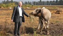 Минсельхоз России отметил наградой старооскольского фермера