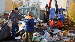 Более 250 старооскольцев приняло участие в субботнике