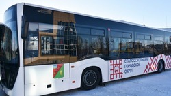 Андрей Чесноков сообщил о новых маршрутах общественного транспорта