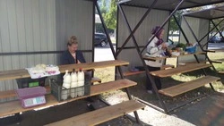 Старооскольцы смогут продавать излишки со своих садов и огородов на оборудованных прилавках