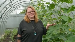 Семья Апенченко из Обуховки направила выплату по соцконтракту на покупку большой теплицы