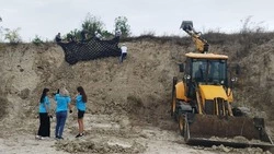 Спасите нашу почву: студенты и волонтёры укрепляют заброшенные карьеры на Белгородчине
