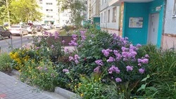 Победители муниципального конкурса «Оскольский дворик» получили награды