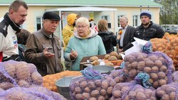 Дмитриевка провела фестиваль картофеля