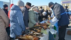 Около 10 тысяч старооскольцев посетили сегодня межрайонную ярмарку