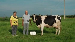 Подворье старооскольцев Надежды и Юрия Прокудиных заняло первое место на муниципальном конкурсе