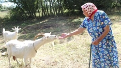 «Без козьего молока столько бы не прожила!» Жительница Городища отметила 95-летний юбилей