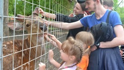 Семьи из Грайворонского горокруга посетили старооскольский зоопарк