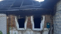 Кот спас многодетную семью в Старом Осколе