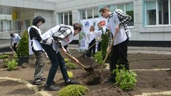 Сад имени легендарного лётчика Алексея Маресьева появился в Старом Осколе 