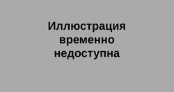 Старооскольские депутаты поделились воспоминаниями о студенческой жизни