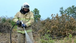 Старооскольские народные дружинники и огнеборцы отработали навыки тушения огня