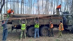 Старооскольцы из волонтёрской группы «ZA НАШИХ» преодолели тысячу километров по дорогам приграничья