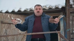 Житель села Архангельское рассказал о разведении овец и голубей