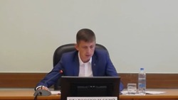 Андрей Чесноков представил отчёт по работе с зелёными насаждениями 