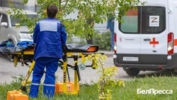 Вячеслав Гладков: три белгородских медика получили государственные награды 