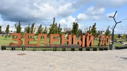 Парк Зелёный лог полюбился жителям и вандалам Старооскольского горокруга