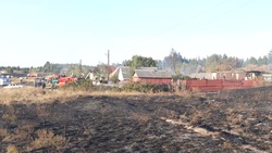 Пал сухой травы стал причиной крупного пожара в Старооскольском округе