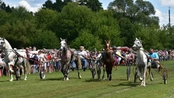 Лошадиные скачки прошли в старооскольском селе Незнамово