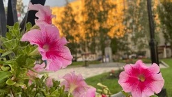 Белгородские некоммерческие организации и музеи смогут поучаствовать во всероссийском конкурсе