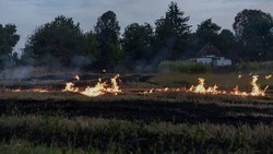 Особый противопожарный режим будет действовать в Белгородской области до конца мая 