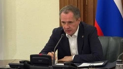 Вячеслав Гладков дал старт большой прямой линии в социальных сетях