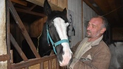 Староосколец Эдуард Жилин рассказал об иппотерапии