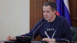 Вячеслав Гладков – о взаимодействии глав муниципалитетов с ТОСами