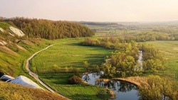 Вячеслав Гладков отметил важность увеличения зелёных насаждений в Белгородской области