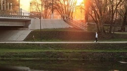 Более 140 тыс. белгородцев проголосовали за дизайн-проекты благоустройства