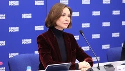 «Единая Россия» поддержала инициативу о смягчении налоговых условий для малого бизнеса