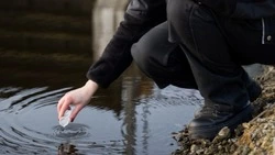 Специалисты составили «Карту здоровья» реки Осколец