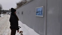Выставка картин старооскольских художников открылась на набережной реки Оскол