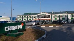 Чем «Сибагро» привлекает потенциальных работников