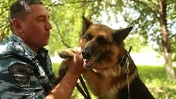 Старооскольский кинолог Сергей Коровин рассказал о работе собак в полиции