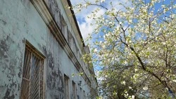 Андрей Чесноков откликнулся на просьбу о помощи  участника СВО 