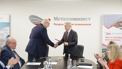 Правительство области и Металлоинвест будут совместно финансировать областные проекты